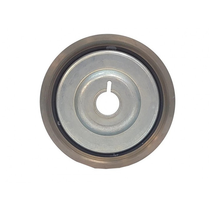 Poulie damper 123031777R RENAULT